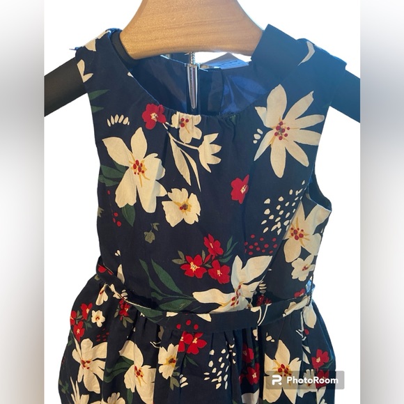 Carter's Toddler Girls Sleeveless Fit + Flare Dress Size 3T - Picture 2 of 6